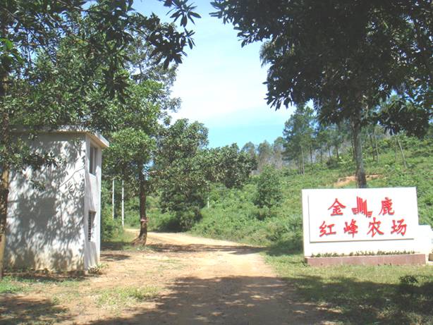 女人张开腿让男人添