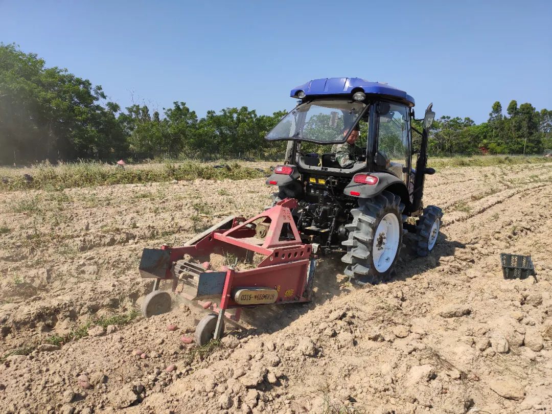 女人张开腿让男人添