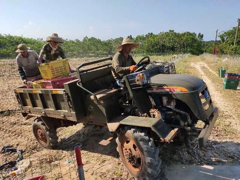 女人张开腿让男人添