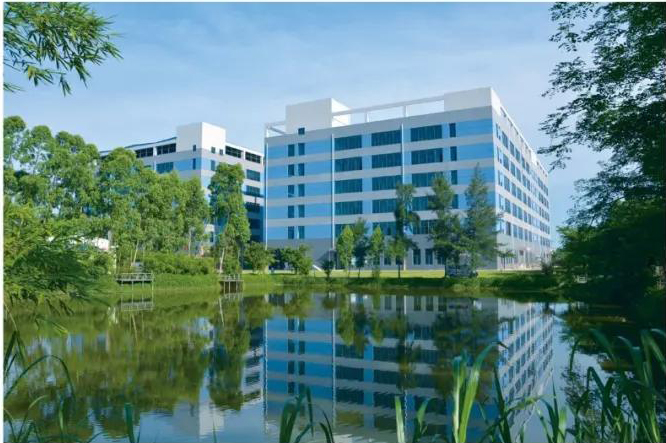 女人张开腿让男人添