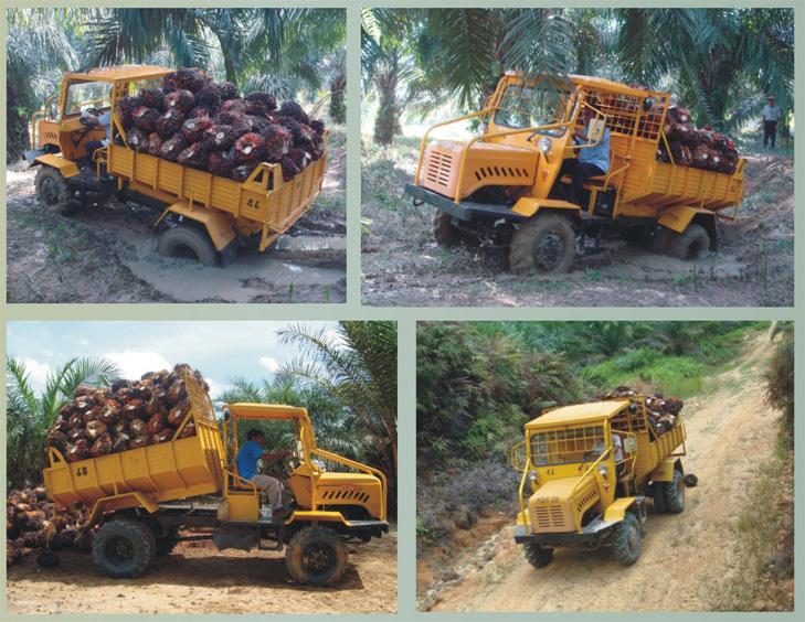 女人张开腿让男人添