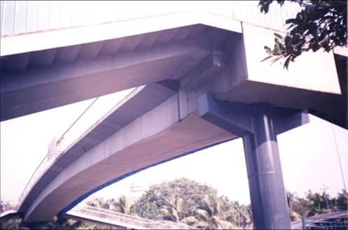 女人张开腿让男人添