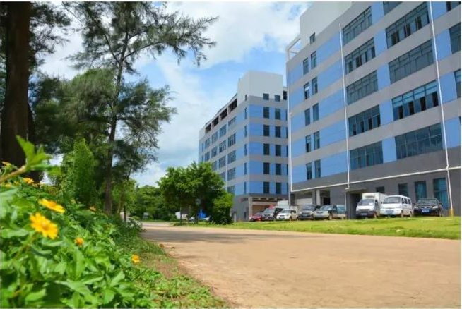 女人张开腿让男人添