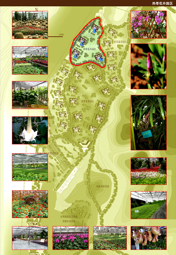 女人张开腿让男人添