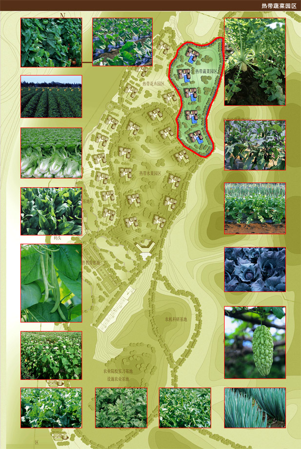 女人张开腿让男人添