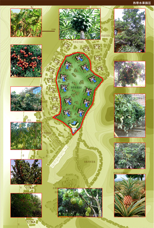 女人张开腿让男人添