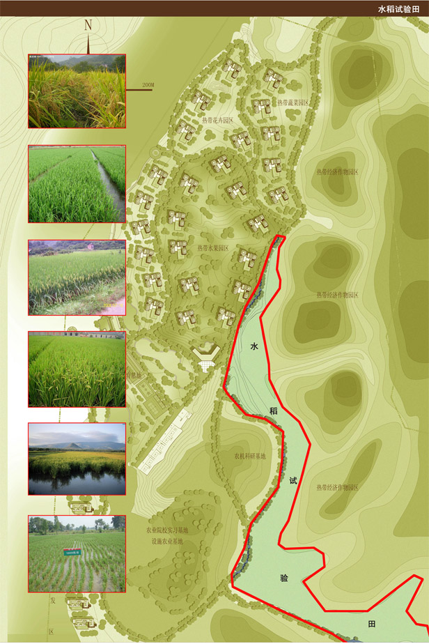 女人张开腿让男人添